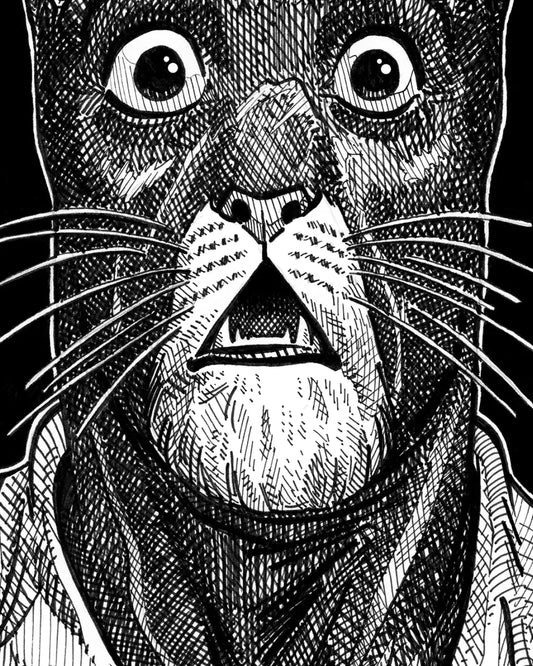 Blacksad (Original A4)