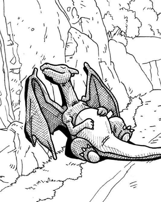 Sieste de Dracaufeu