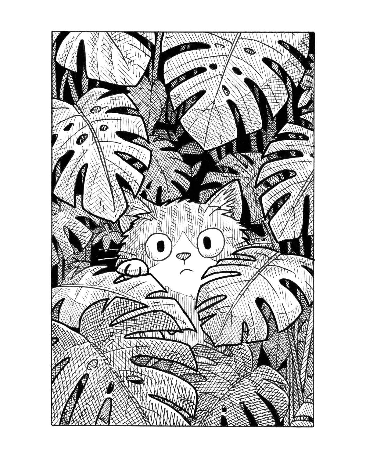 Le petit chat caché