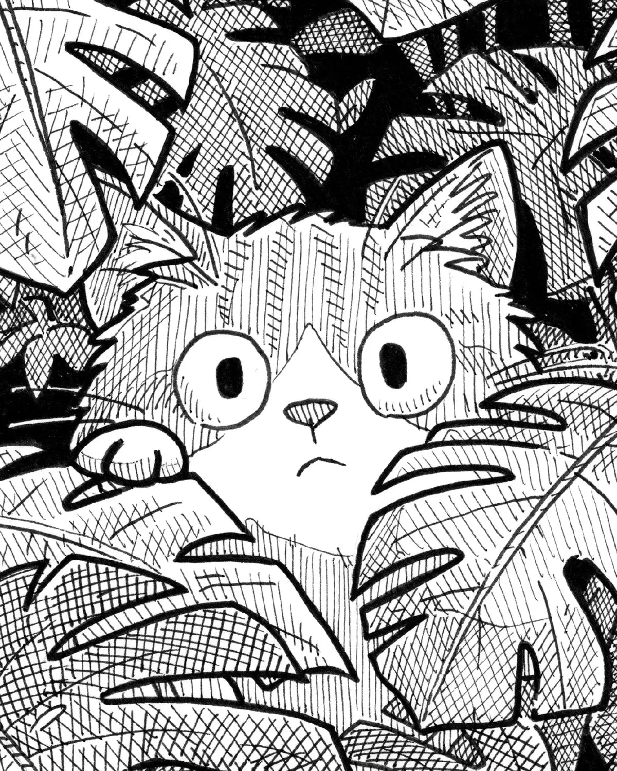 Le petit chat caché